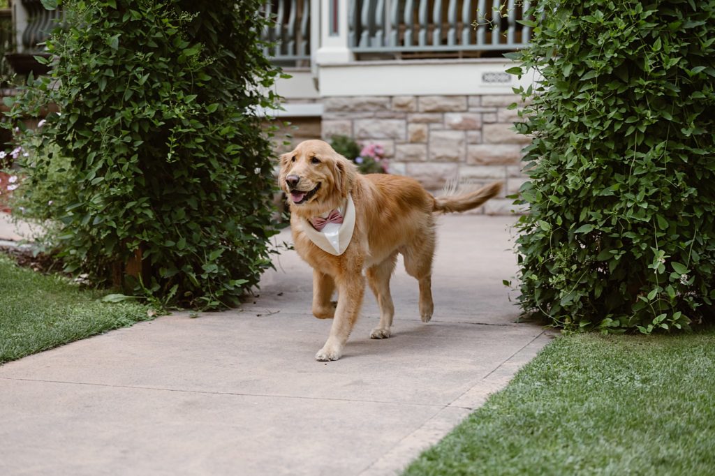Tapestry House Colorado Wedding