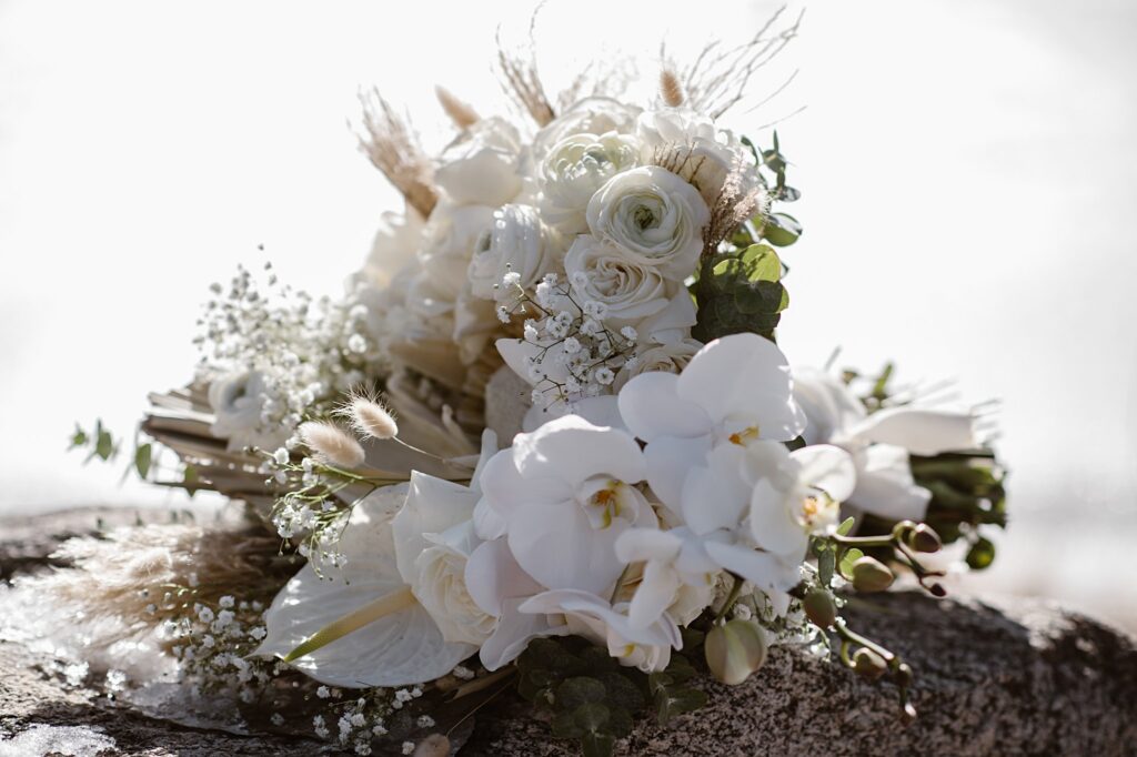 Blackstone Rivers Ranch Wedding