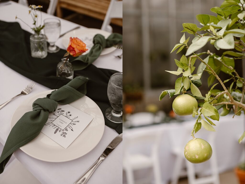 Denver Botanic Garden Wedding