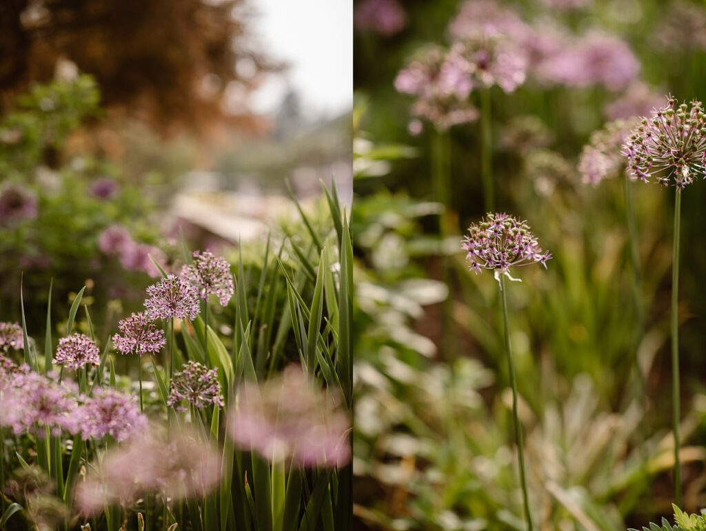 Denver Botanic Garden Wedding