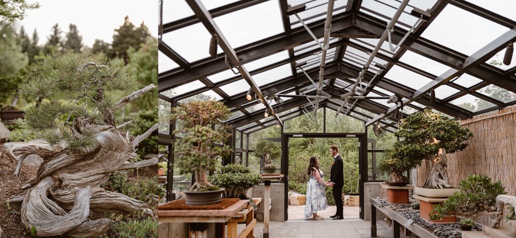 Denver Botanic Garden Wedding