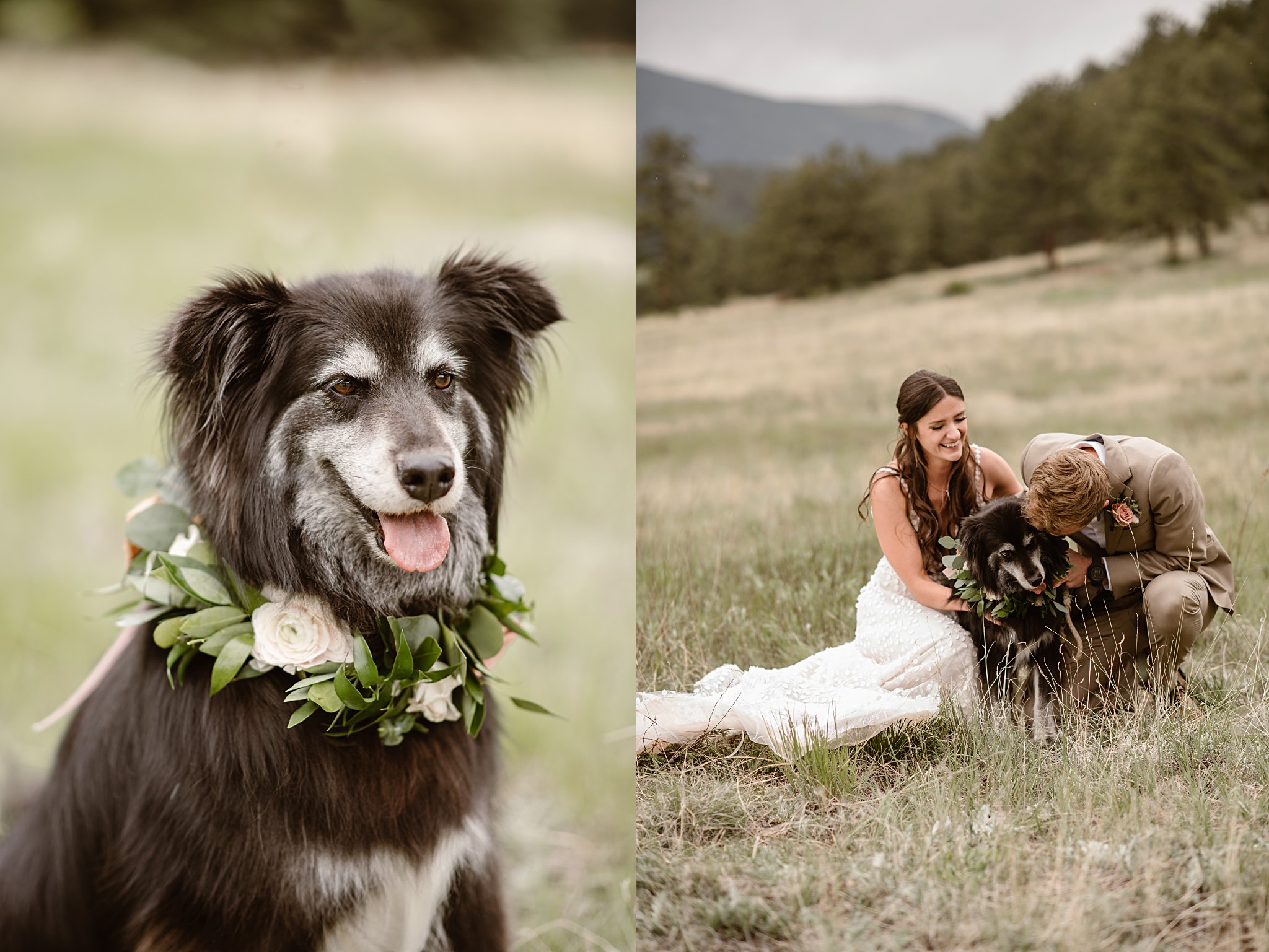 Deer Creek Valley Ranch Wedding