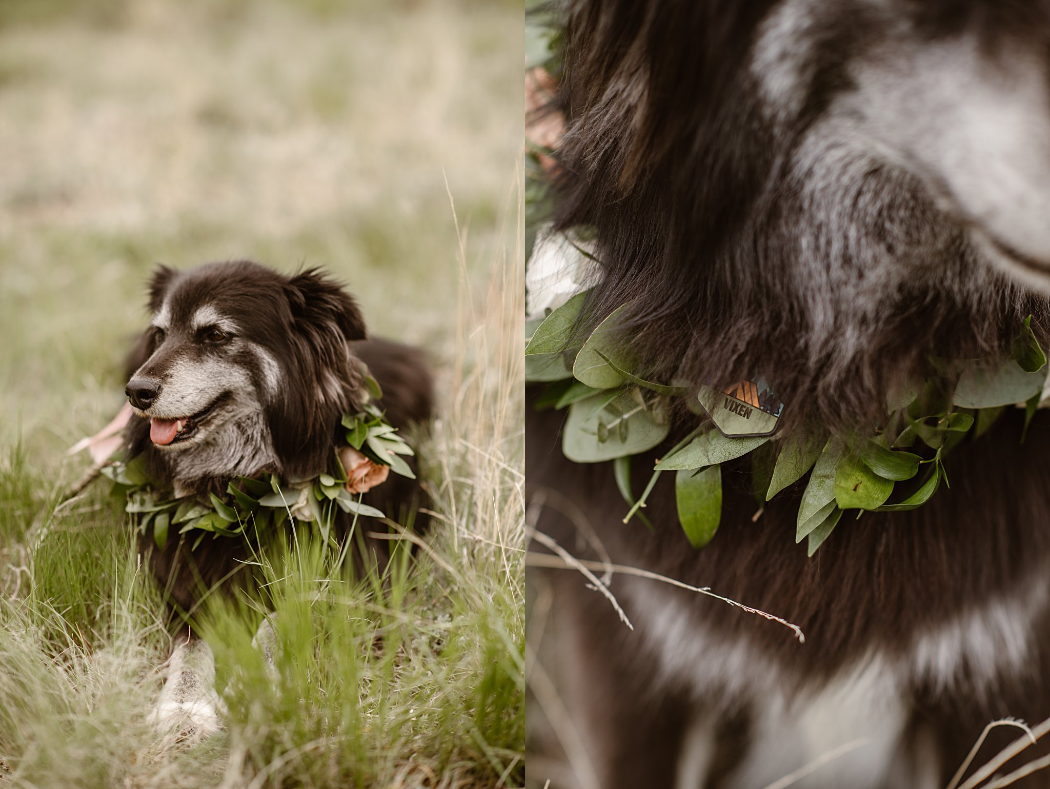 Deer Creek Valley Ranch Wedding