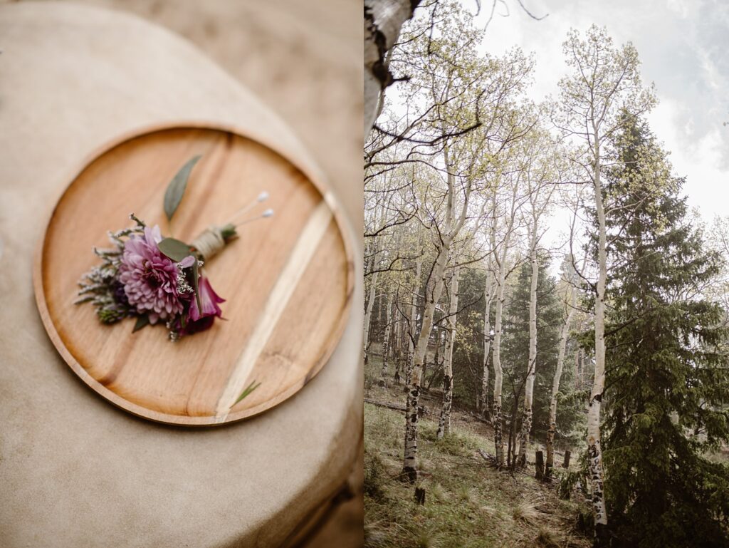 Rhize Colorado Wedding