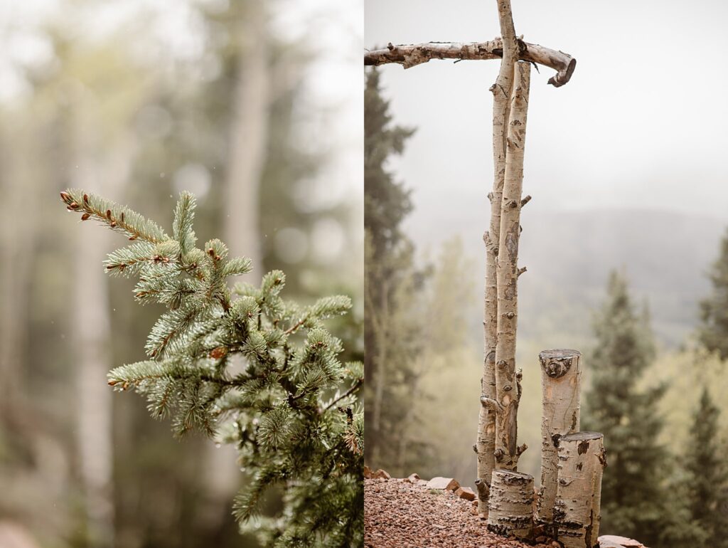 Rhize Colorado Wedding