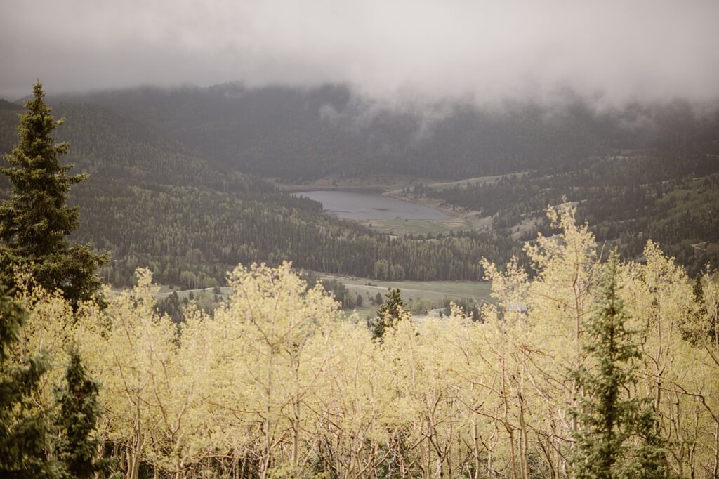 Rhize Colorado Wedding
