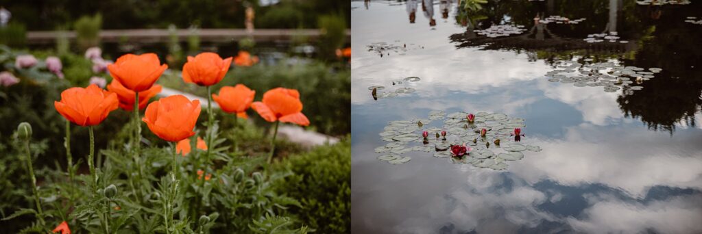 Denver Botanic Gardens Wedding