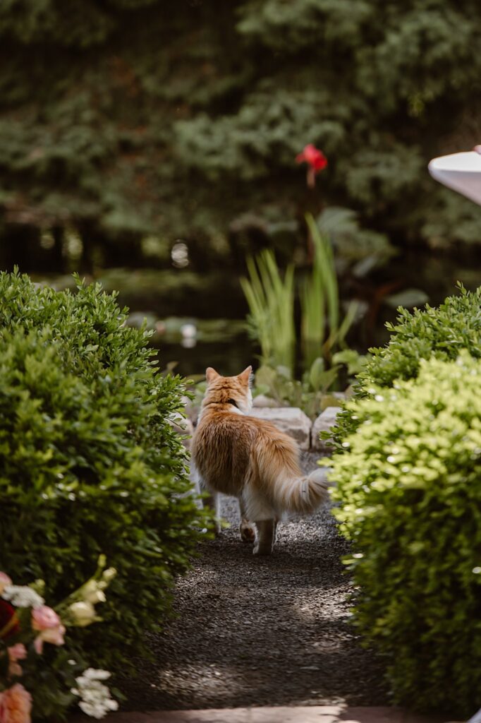Denver Botanic Gardens Wedding