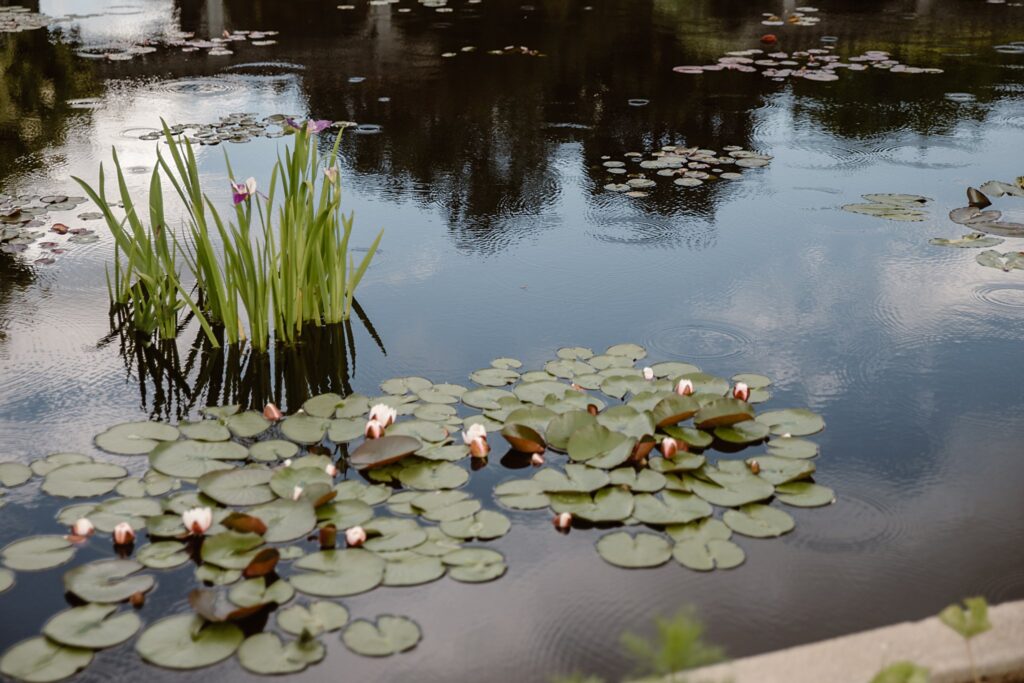 Denver Botanic Gardens Wedding