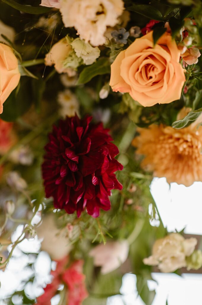 Flying Horse Ranch Wedding