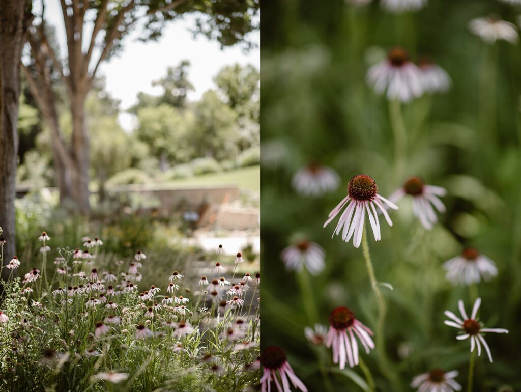 Denver Botanic Gardens Wedding