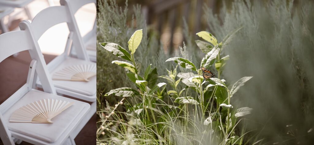 Denver Botanic Gardens Wedding