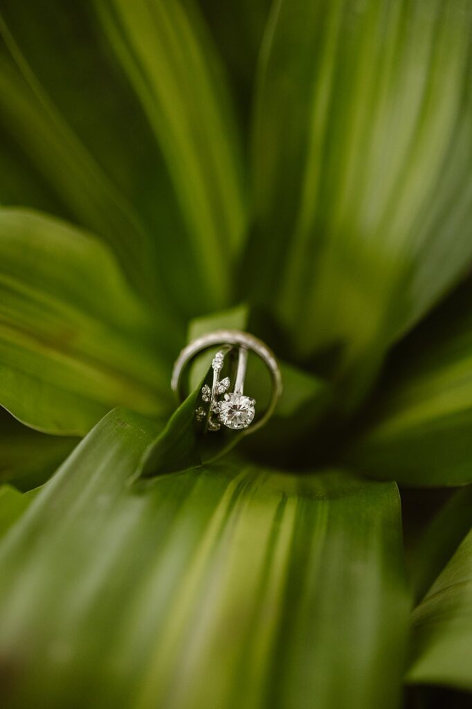 Denver Botanic Gardens Wedding