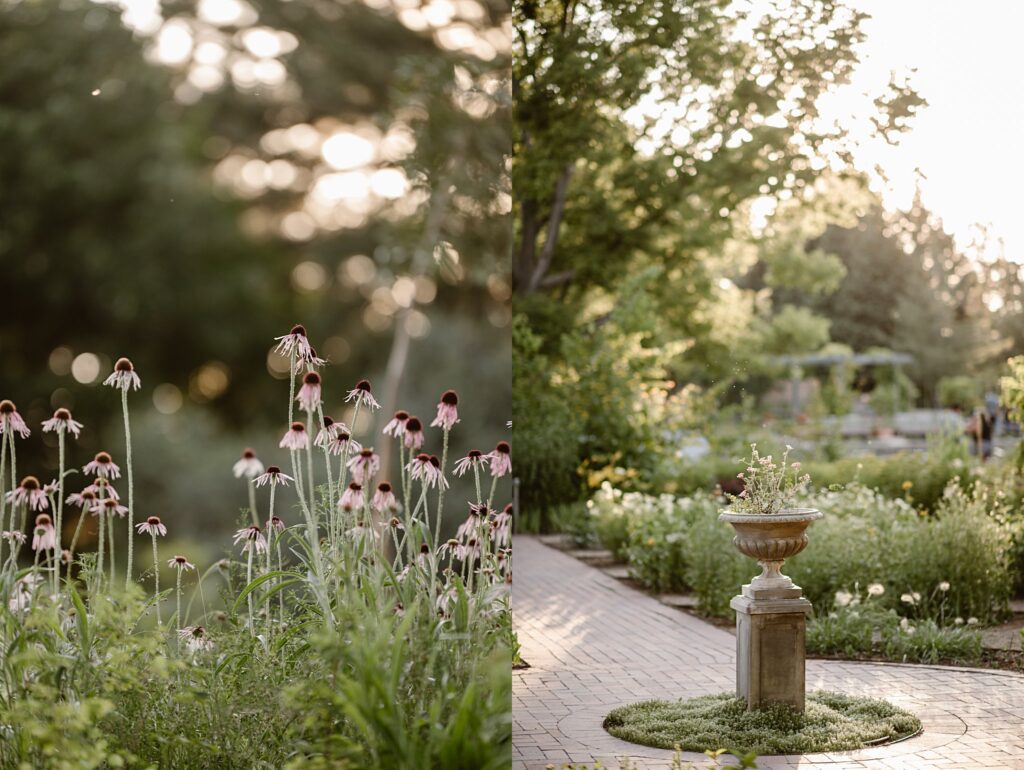 Denver Botanic Gardens Wedding