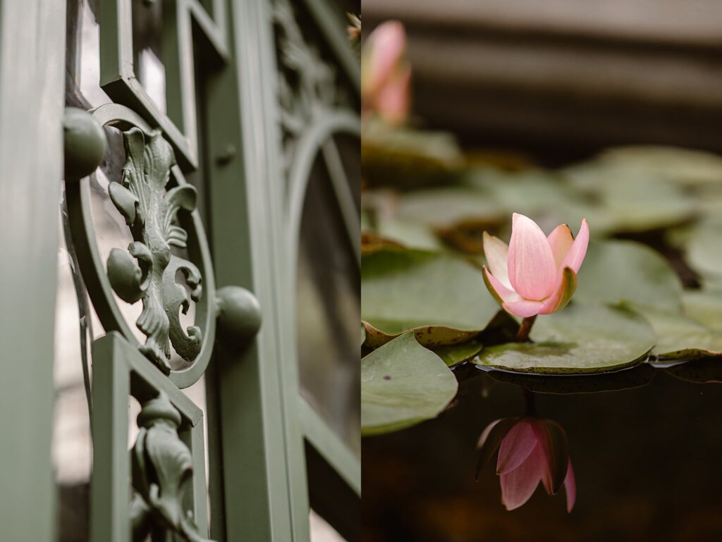 Denver Botanic Gardens Wedding