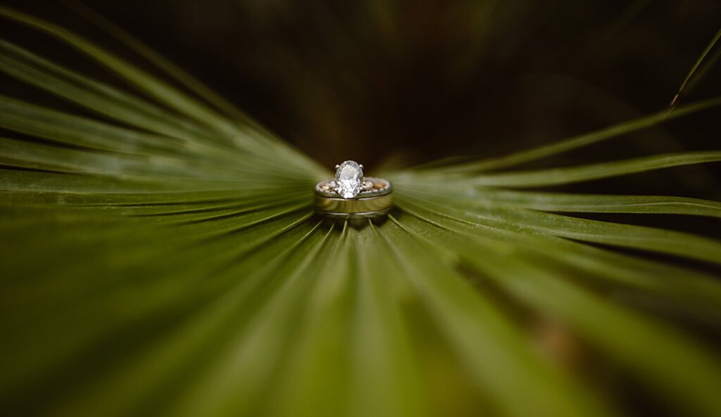 Denver Botanic Gardens Wedding