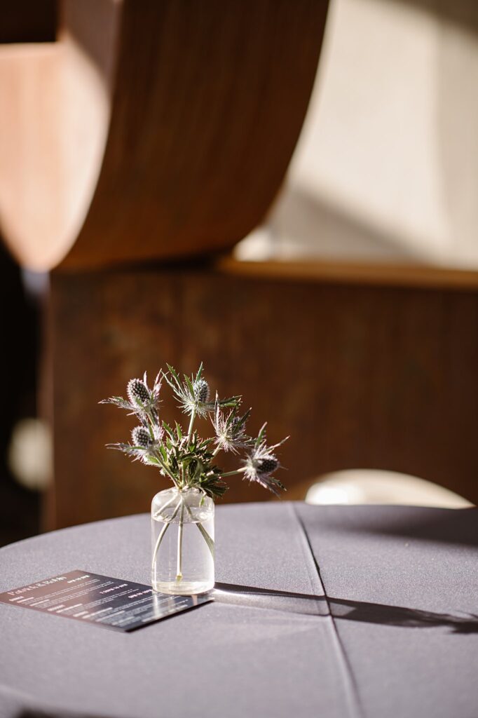 Colorado Wedding Photographer