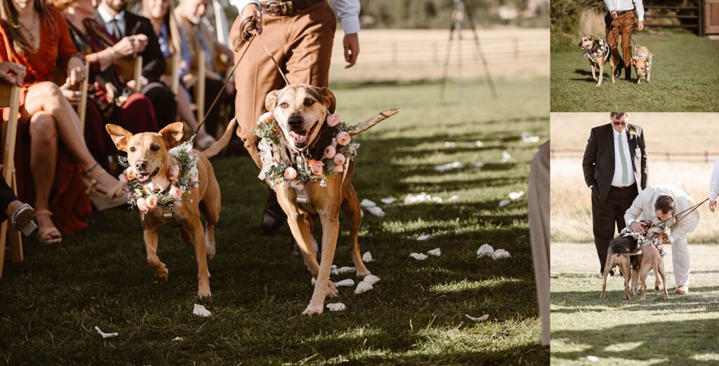 Spruce Mountain Ranch Wedding