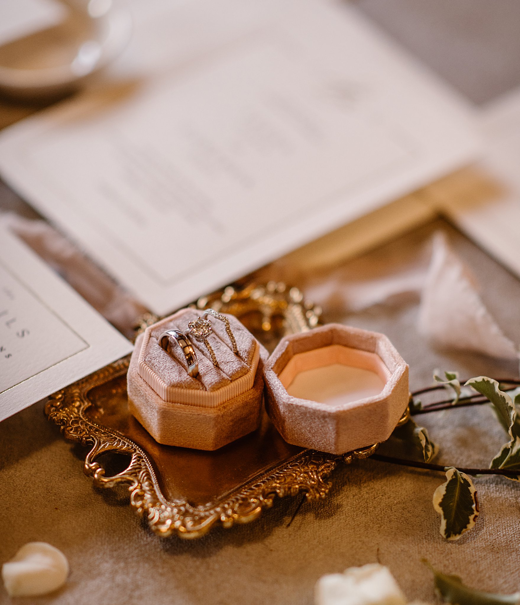 Crooked Willow Farms Wedding