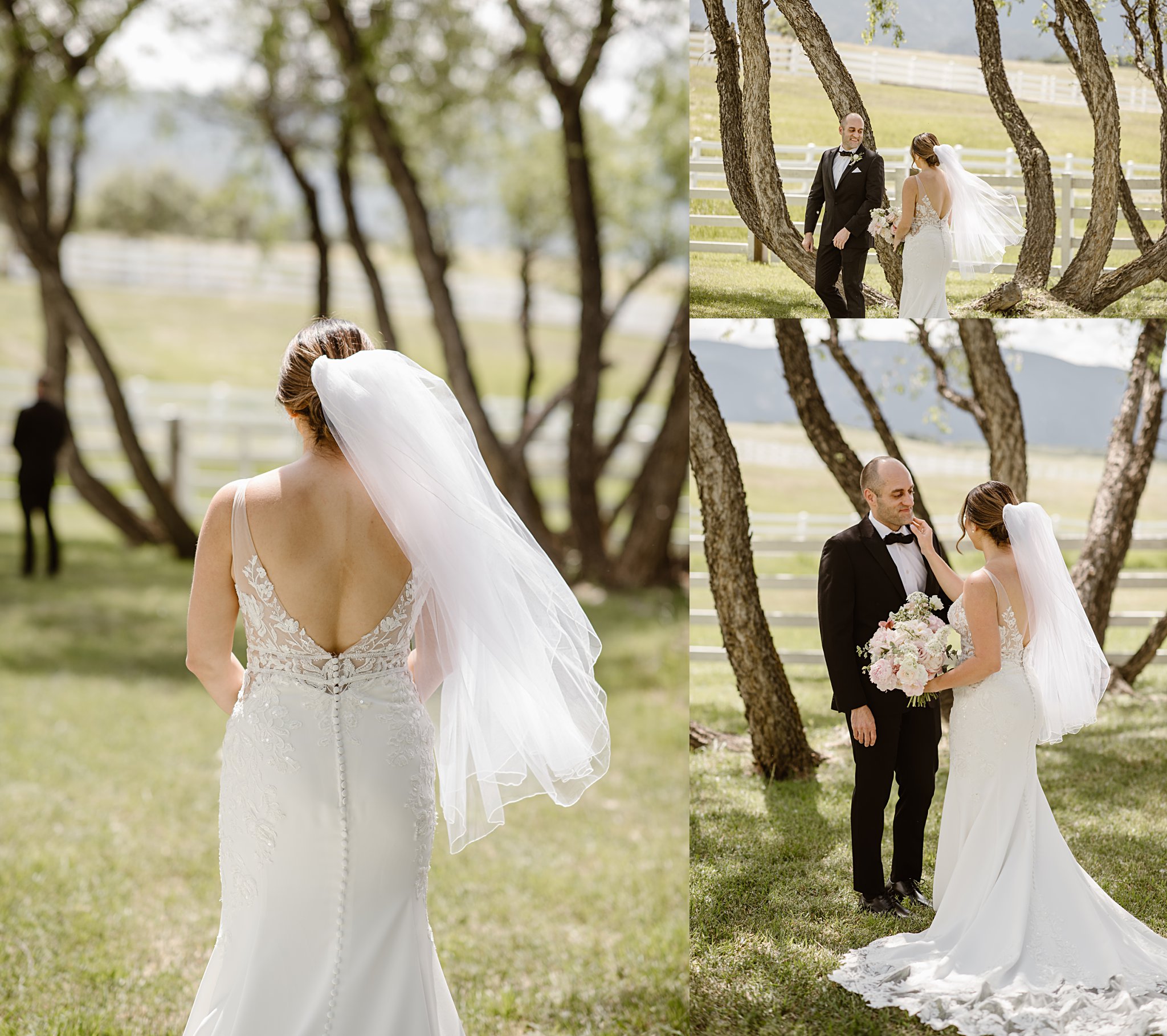 Crooked Willow Farms Wedding