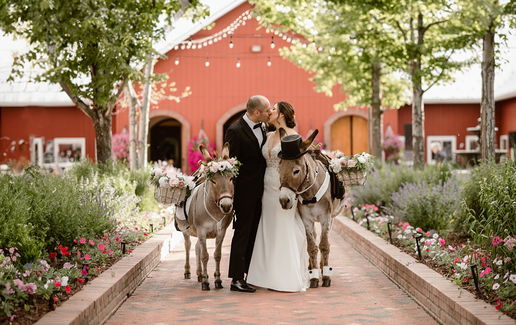 Crooked Willow Farms Wedding